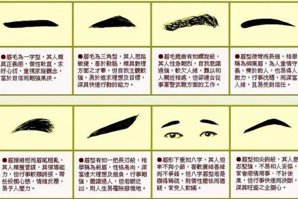 面相绝技：一眼看穿命运之谜