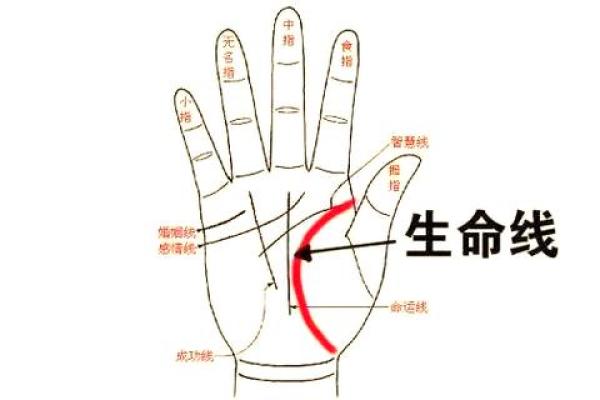 性关系手相解读：掌握命运的秘密线索