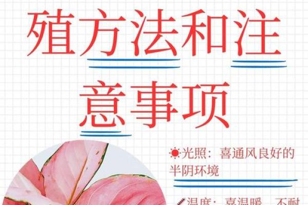 养殖公司命名的寓意与品牌价值塑造秘诀