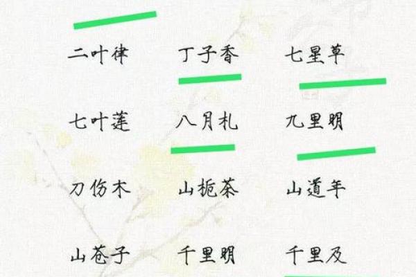 起名字的技巧与文化内涵解析