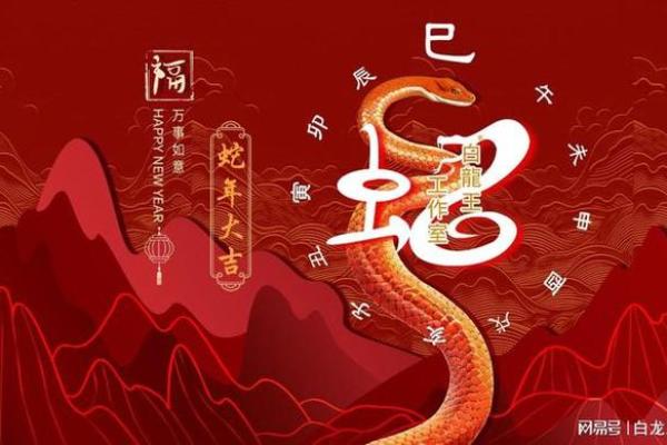 段建业命理揭秘：运势巅峰的秘诀大公开