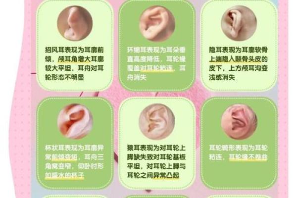耳轮包耳廓面相之谜