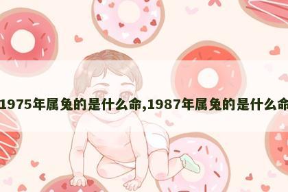 1975年属兔的是什么命,1987年属兔的是什么命