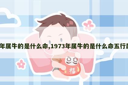 1973年属牛的是什么命,1973年属牛的是什么命五行属什么