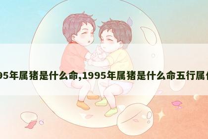 1995年属猪是什么命,1995年属猪是什么命五行属什么