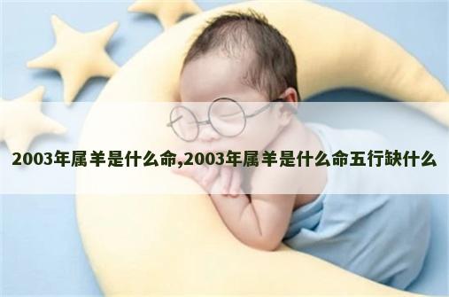 2003年属羊是什么命,2003年属羊是什么命五行缺什么