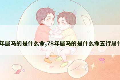 78年属马的是什么命,78年属马的是什么命五行属什么