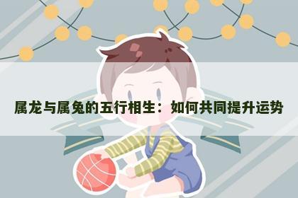属龙与属兔的五行相生：如何共同提升运势