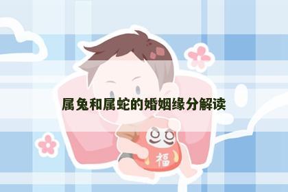 属兔和属蛇的婚姻缘分解读