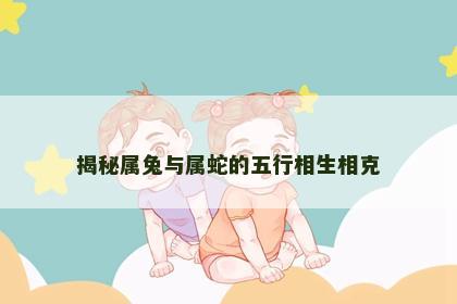 揭秘属兔与属蛇的五行相生相克