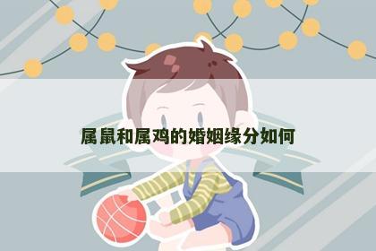 属鼠和属鸡的婚姻缘分如何