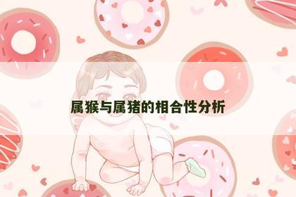 属猴与属猪的相合性分析