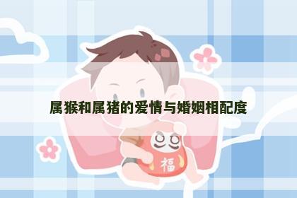 属猴和属猪的爱情与婚姻相配度
