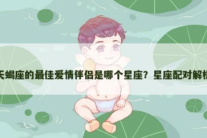 天蝎座的最佳爱情伴侣是哪个星座？星座配对解析