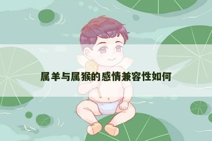 属羊与属猴的感情兼容性如何