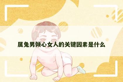 属兔男倾心女人的关键因素是什么
