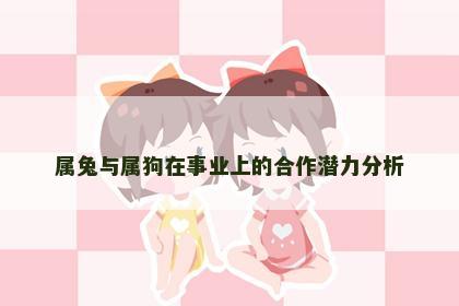 属兔与属狗在事业上的合作潜力分析