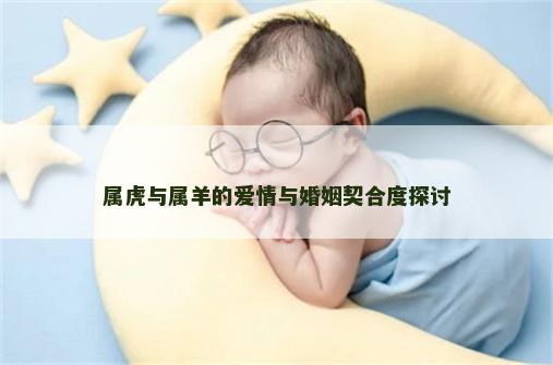 属虎与属羊的爱情与婚姻契合度探讨