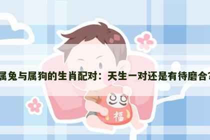 属兔与属狗的生肖配对：天生一对还是有待磨合？