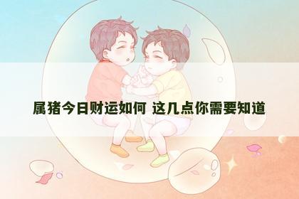 属猪今日财运如何 这几点你需要知道