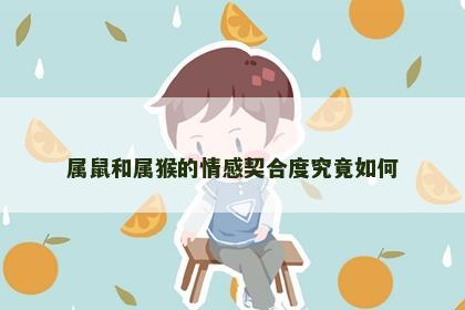 属鼠和属猴的情感契合度究竟如何