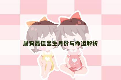 属狗最佳出生月份与命运解析