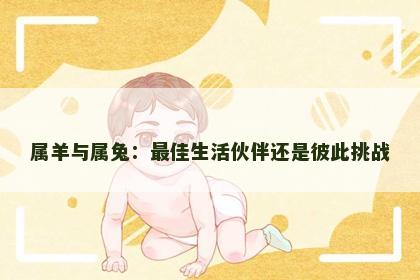 属羊与属兔：最佳生活伙伴还是彼此挑战