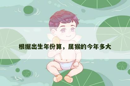 根据出生年份算，属猴的今年多大