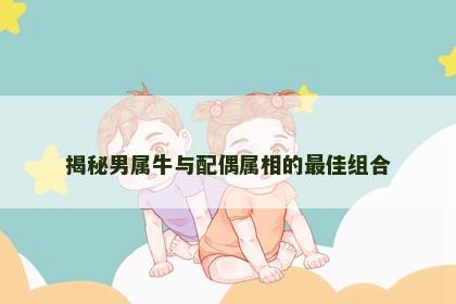 揭秘男属牛与配偶属相的最佳组合