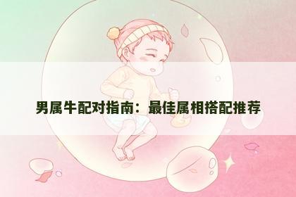 男属牛配对指南：最佳属相搭配推荐